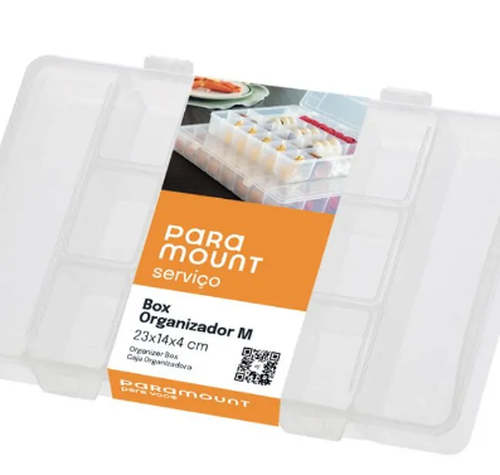 captura de tela 2025 03 29 153455