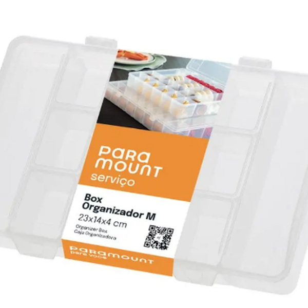 captura de tela 2025 03 29 153455