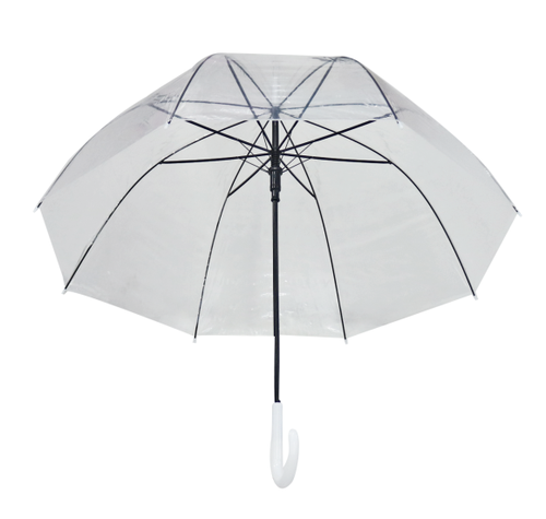 img ftr rp 1358601 580x579