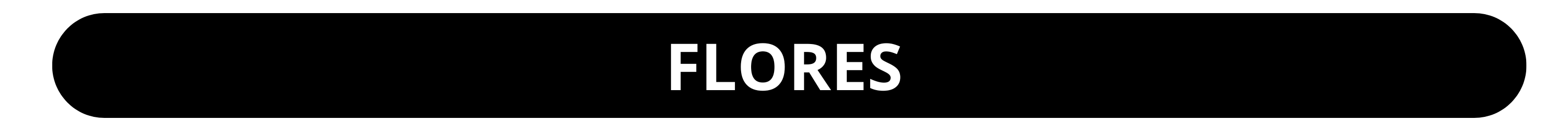 flores 16
