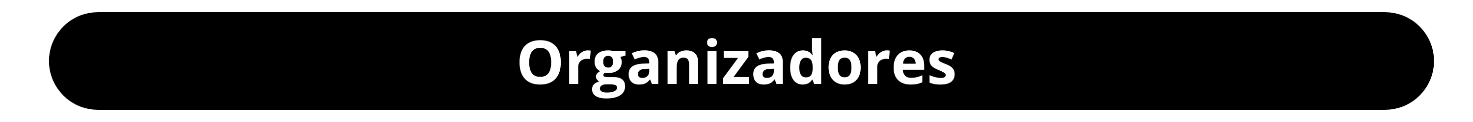 organizadores 9