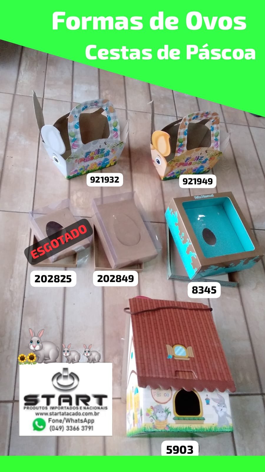 whatsapp image 2026 01 14 at 16 07 46