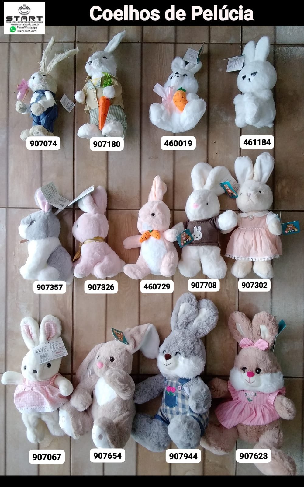 WhatsApp Image 2026 02 10 at 1128jpeg